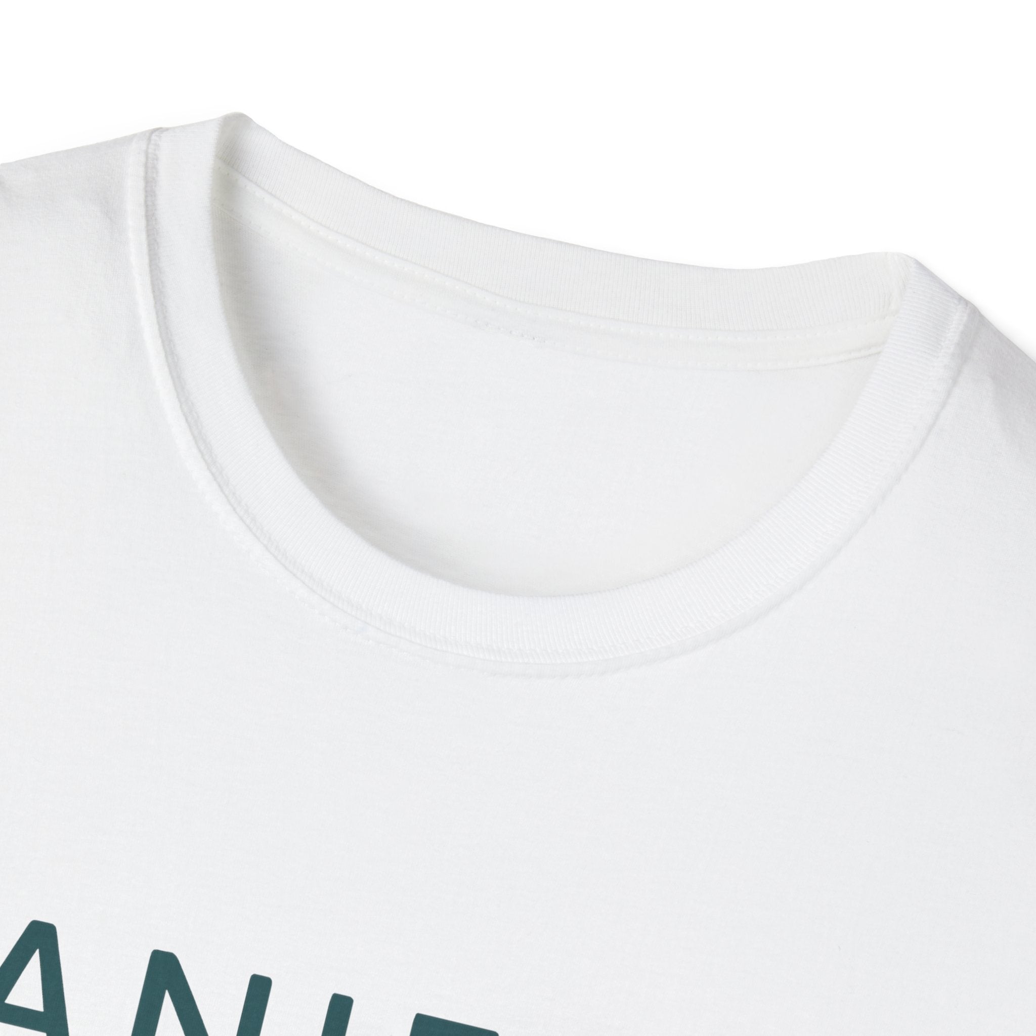 Manifest T-Shirt – Unisex Softstyle Tee for Calm, Comfort & Self-Care | Mindfulness Gift for Wellness Lovers