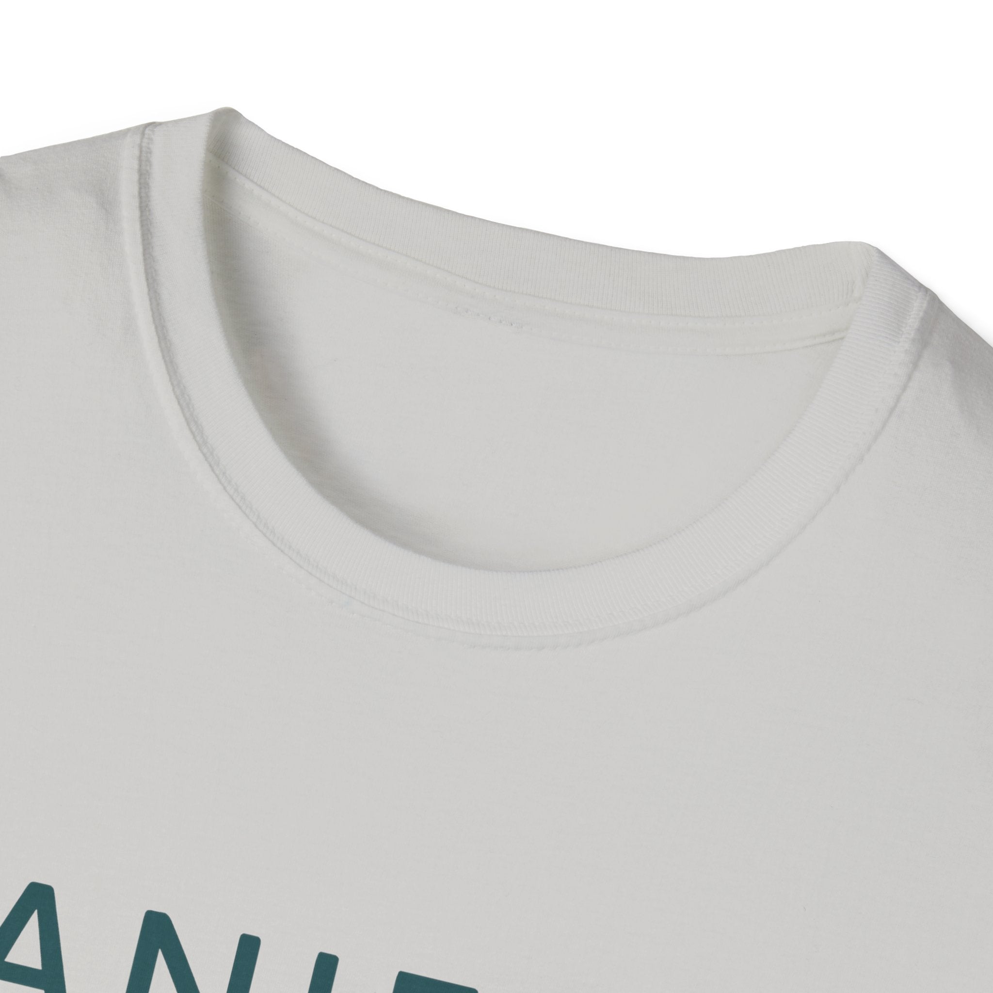 Manifest T-Shirt – Unisex Softstyle Tee for Calm, Comfort & Self-Care | Mindfulness Gift for Wellness Lovers