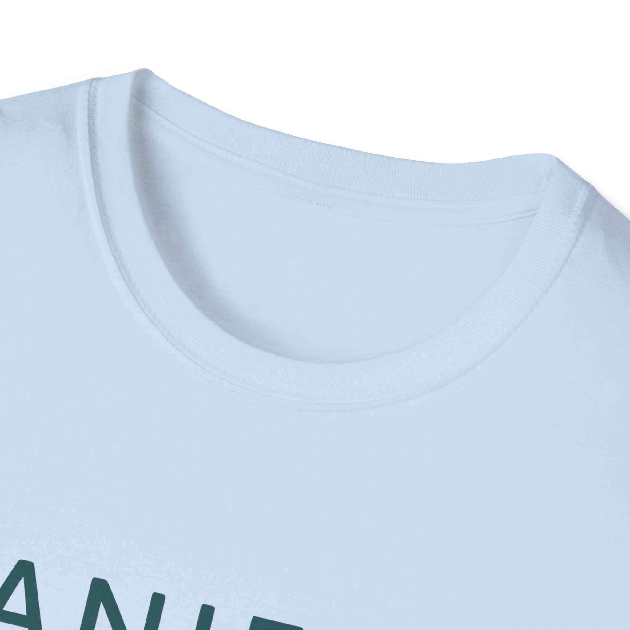 Manifest T-Shirt – Unisex Softstyle Tee for Calm, Comfort & Self-Care | Mindfulness Gift for Wellness Lovers